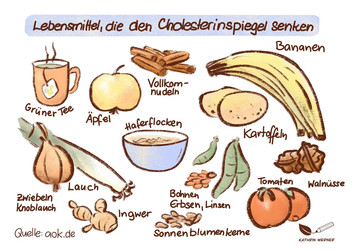 Cholesterin senken ohne Medikamente – geht das? Ich hab es ausprobiert. Ich habe fast keine tierischen Produkte mehr gegessen, sondern mich 